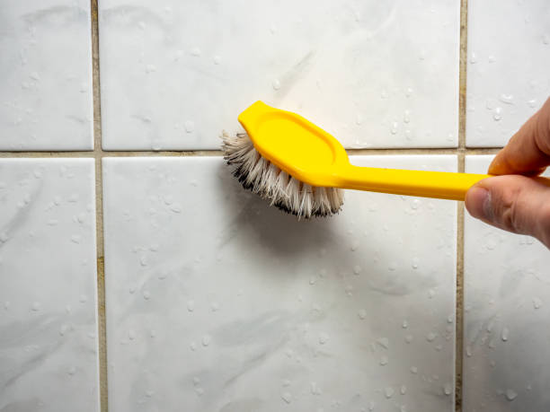 Best Best Mold Removal Companies  in Milmay, NJ