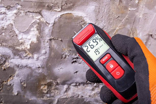 Best Office Mold Removal Services  in Milmay, NJ